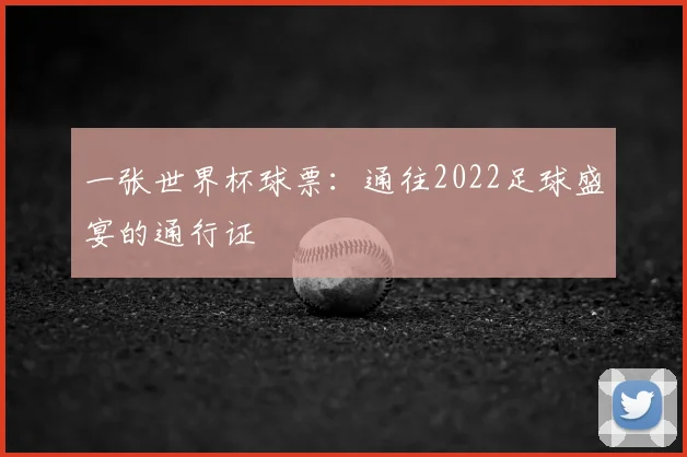 一张世界杯球票：通往2022足球盛宴的通行证