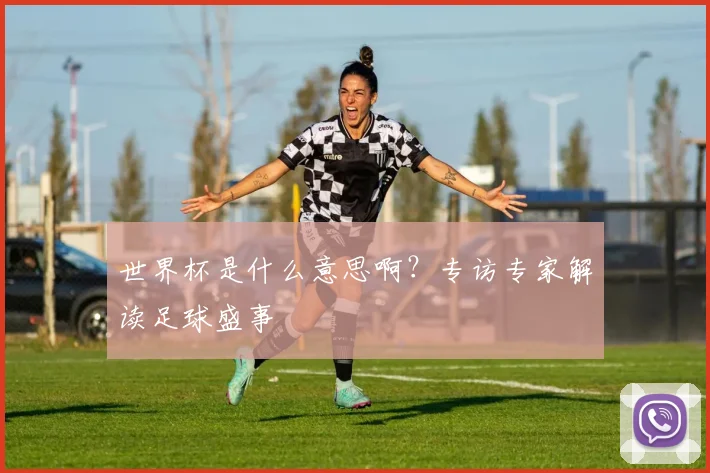 世界杯是什么意思啊?专访专家解读足球盛事