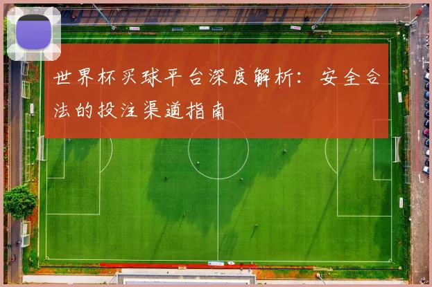 世界杯买球平台深度解析:安全合法的投注渠道指南