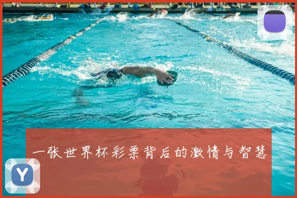 一张世界杯彩票背后的激情与智慧