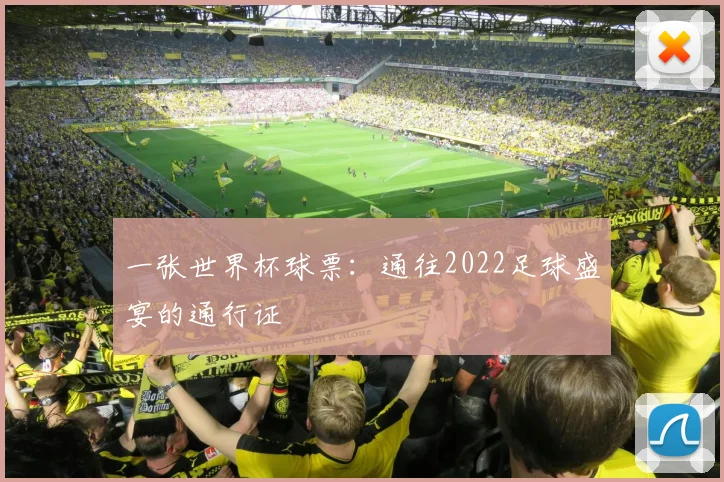 一张世界杯球票:通往2022足球盛宴的通行证