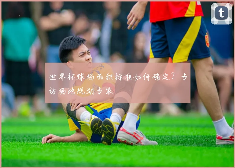 世界杯球场面积标准如何确定？专访场地规划专家