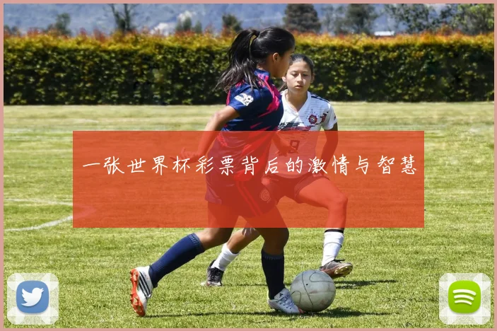 一张世界杯彩票背后的激情与智慧