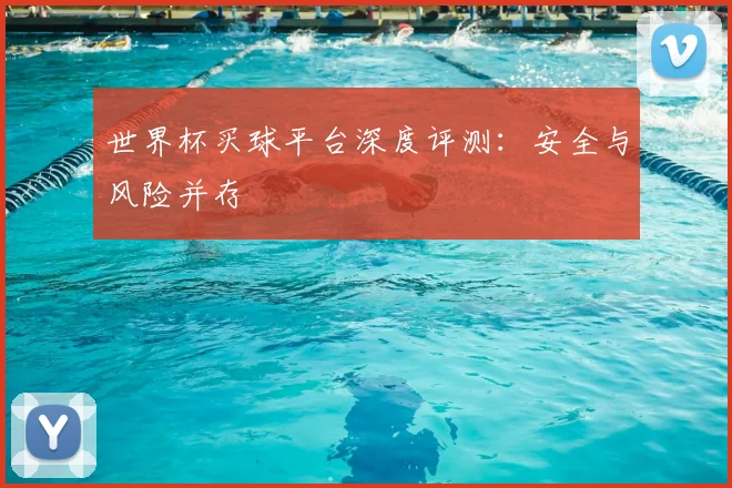 世界杯买球平台深度评测:安全与风险并存
