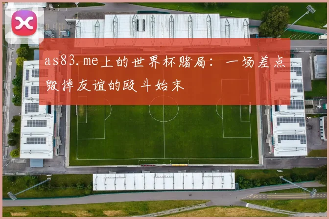 as83.me上的世界杯赌局：一场差点毁掉友谊的殴斗始末