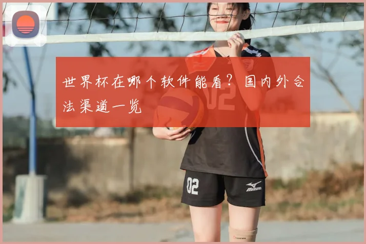 世界杯在哪个软件能看？国内外合法渠道一览