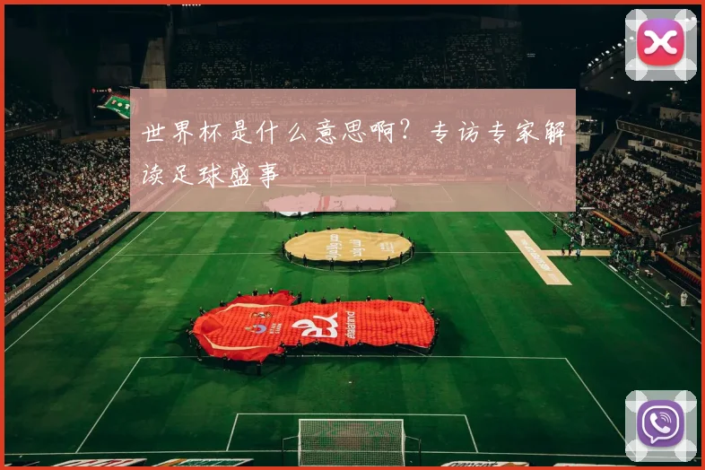 世界杯是什么意思啊?专访专家解读足球盛事