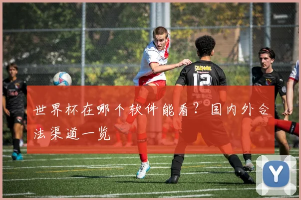 世界杯在哪个软件能看？国内外合法渠道一览