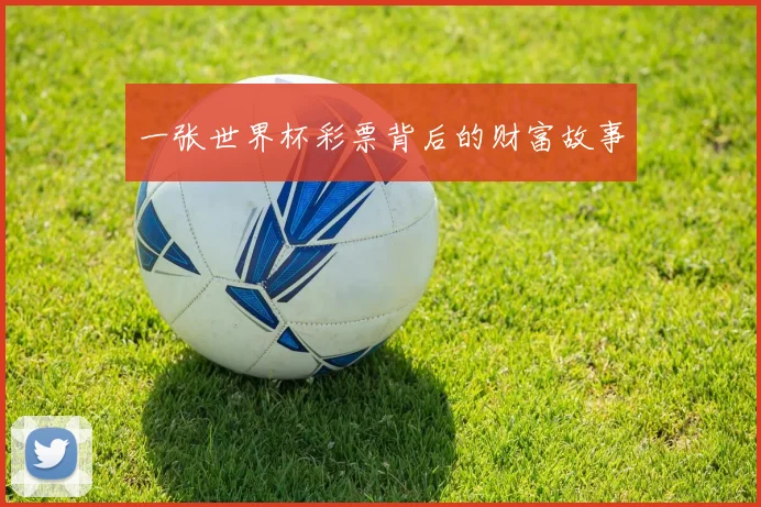 一张世界杯彩票背后的财富故事