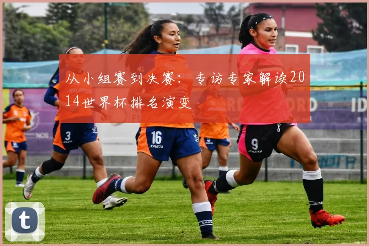 从小组赛到决赛:专访专家解读2014世界杯排名演变