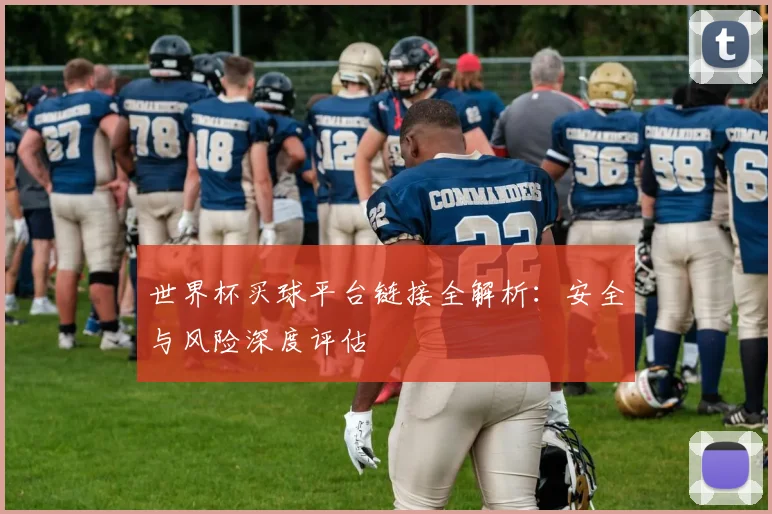 世界杯买球平台链接全解析:安全与风险深度评估