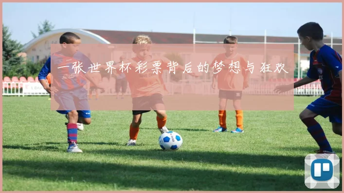 一张世界杯彩票背后的梦想与狂欢