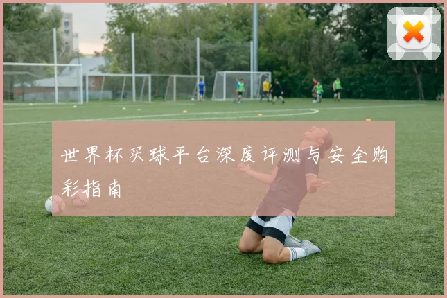 世界杯买球平台深度评测与安全购彩指南